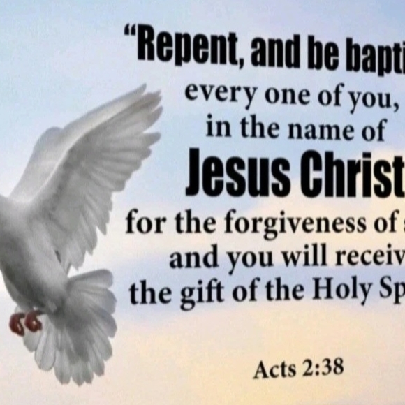 Graco Snugride Snuglock 35 Click Connect Fabric Seat Cover Padding Cushion Gray - Picture 12 of 12